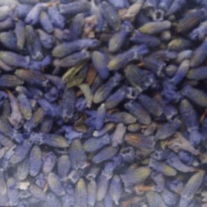Lavender Flower Organic 25g
