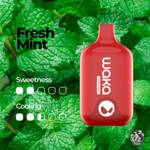 WAKA SMASH 6000 PUFF – FRESH MINT